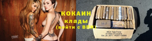 шишки Снежногорск