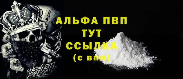 шишки Снежногорск