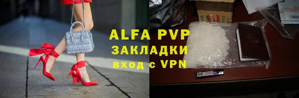 шишки Снежногорск