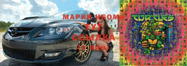 шишки Снежногорск