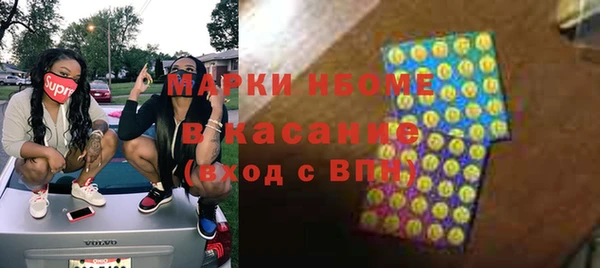 шишки Снежногорск