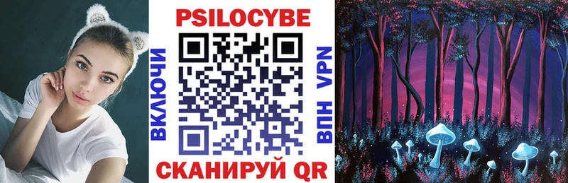 Купить где Емва Галлюциногенные грибы мухоморы